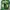 Adidas Sportswear Casual Sneakers Kids green black photo 2