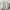 Adidas Streetwear Casual Sneakers Kids white photo 2
