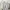Adidas Streetwear Casual Sneakers Kids White