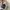 Adidas Streetwear Casual Sneakers Kids white photo 3