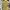 Vintage Y2K Shirt Wanita yellow photo 4