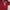 American Eagle Casual T-shirt Pria red photo 1