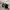 Adidas Streetwear Reworked Sneakers Pria White Black
