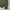 H&M Minimalist Hoody Pria green photo 2