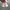 Nike Casual Sneakers Kids white pink photo 4