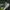 New Balance Sportswear Indie Sneakers Pria white green photo 5
