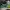 New Balance Sportswear Indie Sneakers Pria white green photo 2