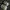 New Balance Sportswear Indie Sneakers Pria white tan photo 6
