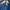 Casual Windbreaker Pria blue photo 4