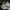 Nike Streetwear Sportswear Sneakers Pria white gray photo 2