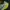 Nike Streetwear Sportswear Sneakers Pria white green photo 5