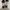 Nike Air Jordan Sportswear Sneakers Wanita cream photo 2