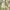 Japanese brand Casual Sweatshirt Wanita cream photo 1
