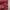 Streetwear Sportswear Windbreaker Pria red photo 7