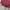 Streetwear Sportswear Windbreaker Pria red photo 5