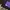Santa Cruz Skateboards Streetwear Y2K Windbreaker Pria purple black photo 5