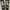 VANS Streetwear Sneakers Wanita white black photo 1