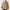 Carhartt Streetwear Casual Windbreaker Pria tan photo 2
