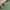 Japanese brand Streetwear Casual Windbreaker Pria green photo 5