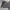 Luxury Minimalist Fleece Pria gray photo 2