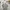 Gianni Valentino Vintage Streetwear Polo shirt Pria multicolor photo 4