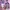 Japanese brand Casual Vest Wanita purple photo 1