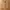 Vintage Casual Jeans Pria tan brown photo 5