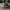 Nike Streetwear Skater Sneakers Pria white black photo 1