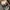 Nike Streetwear Skater Sneakers Pria white black photo 7