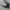 New Balance Streetwear Sportswear Sneakers Pria gray photo 6