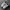 New Balance Streetwear Sportswear Sneakers Pria Cream