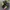 New Balance Streetwear Sportswear Sneakers Pria cream photo 6
