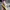 New Balance Streetwear Sportswear Sneakers Pria cream photo 5