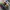 New Balance Streetwear Sportswear Sneakers Pria cream photo 3