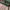 Japanese Brand Vintage Y2K Sweater Pria Multicolor Pink