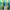 Casual Bodycon dress Wanita green photo 1