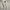 Streetwear Sportswear Track jacket Wanita white photo 3