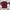 Champion Casual Sweatshirt Pria Burgundy