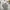 Hush Puppies Streetwear Luxury Polo shirt Pria gray photo 4