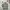 Hush Puppies Streetwear Luxury Polo shirt Pria gray photo 5