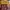 Allo & Lugh Luxury Kids multicolor photo 2