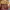Allo & Lugh Luxury Kids multicolor photo 1
