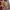Allo & Lugh Luxury Kids multicolor photo 3