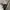 Vintage Y2K Boots Pria black photo 5