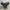 Vintage Biker Boots Pria black photo 3
