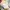 Vintage Y2K Skirt Wanita white yellow photo 3