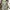 Vintage Y2K Blouse Wanita green blue photo 1