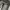 Vintage Y2K Jeans Pria white black photo 3
