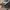 Minimalist Casual Stroller Kids black blue photo 3