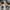 Minimalist Casual Stroller Kids black blue photo 7